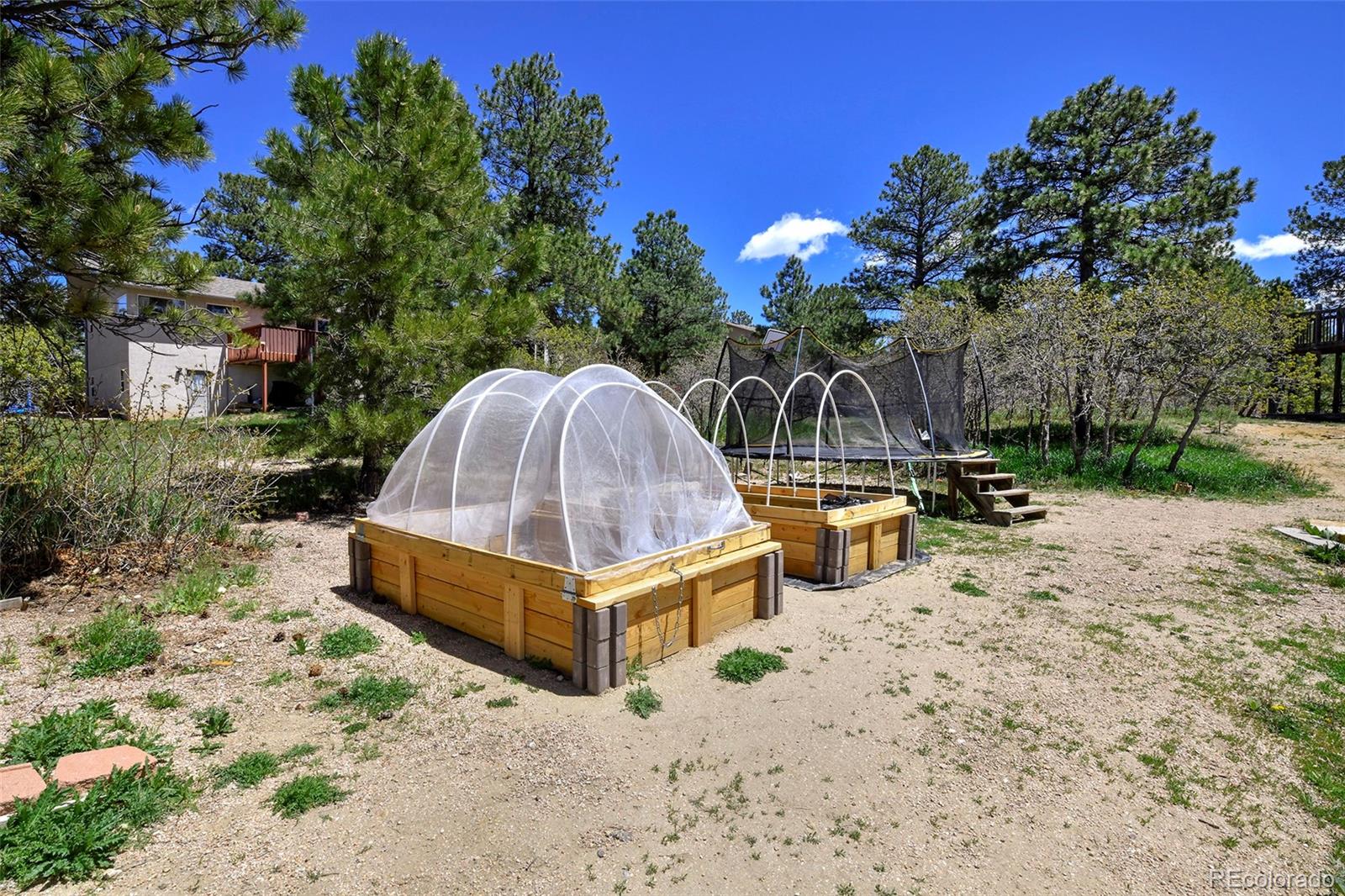 MLS Image #8 for 1673  woodmoor drive,monument, Colorado