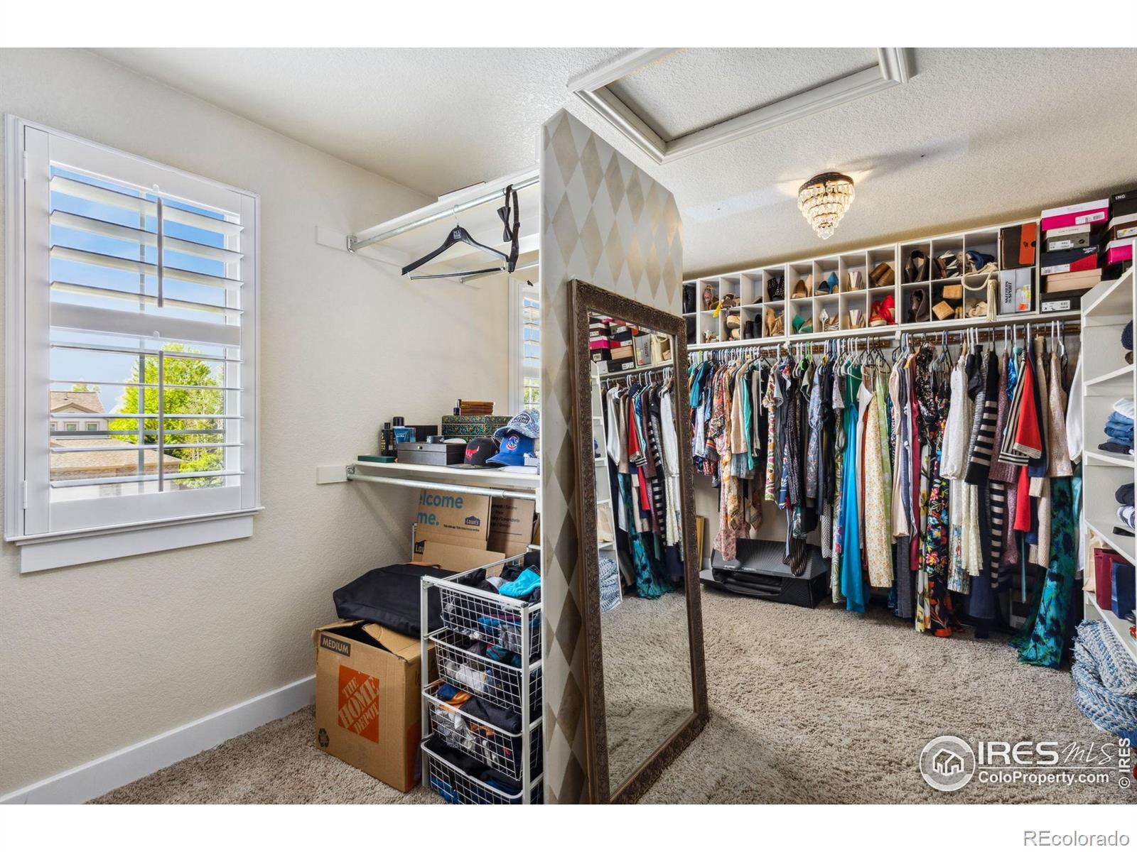 MLS Image #28 for 860  quintana lane,erie, Colorado