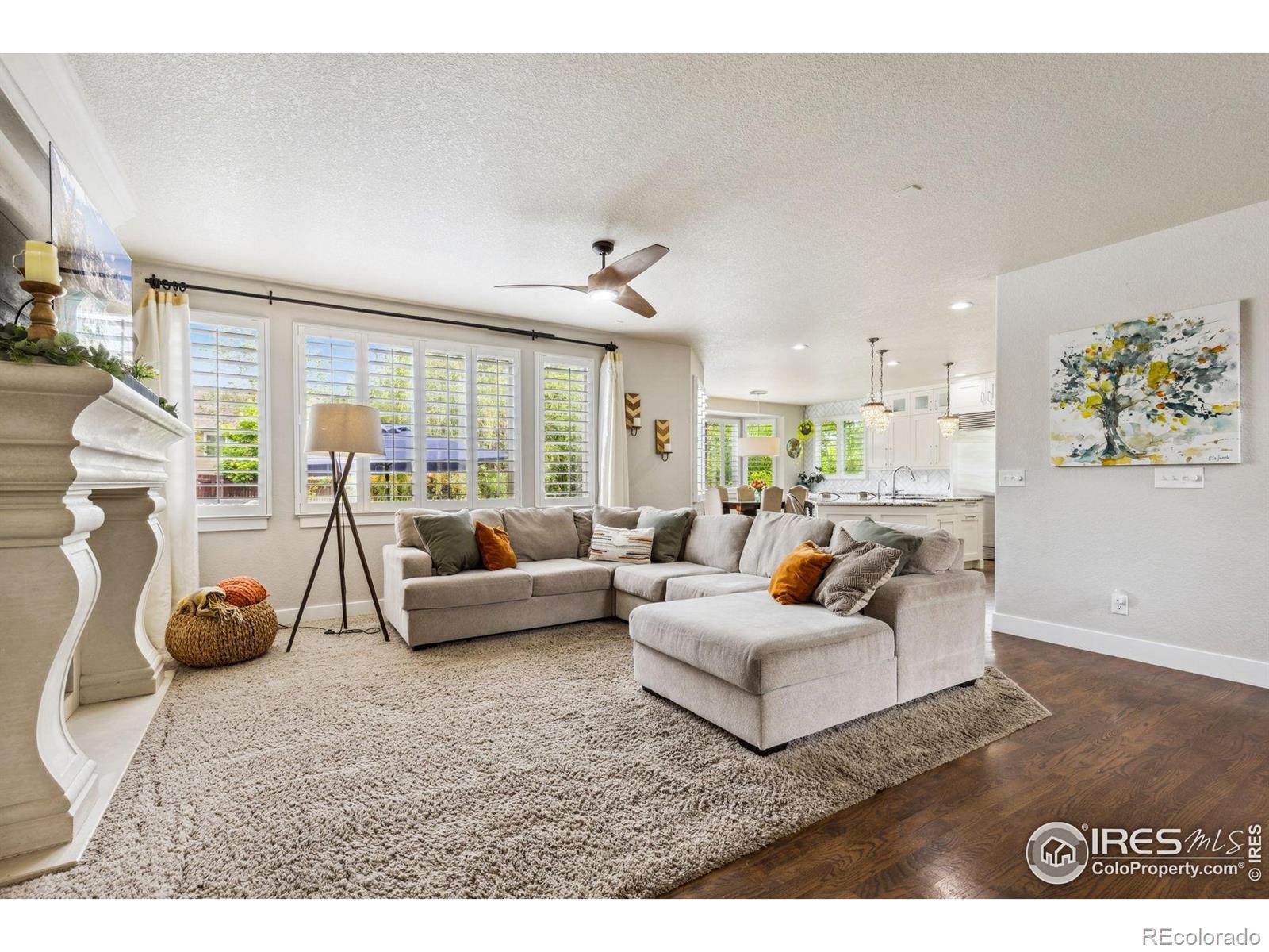 MLS Image #7 for 860  quintana lane,erie, Colorado