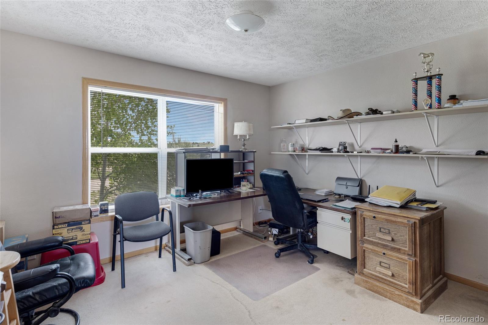 MLS Image #10 for 33294  expertise trail,kiowa, Colorado