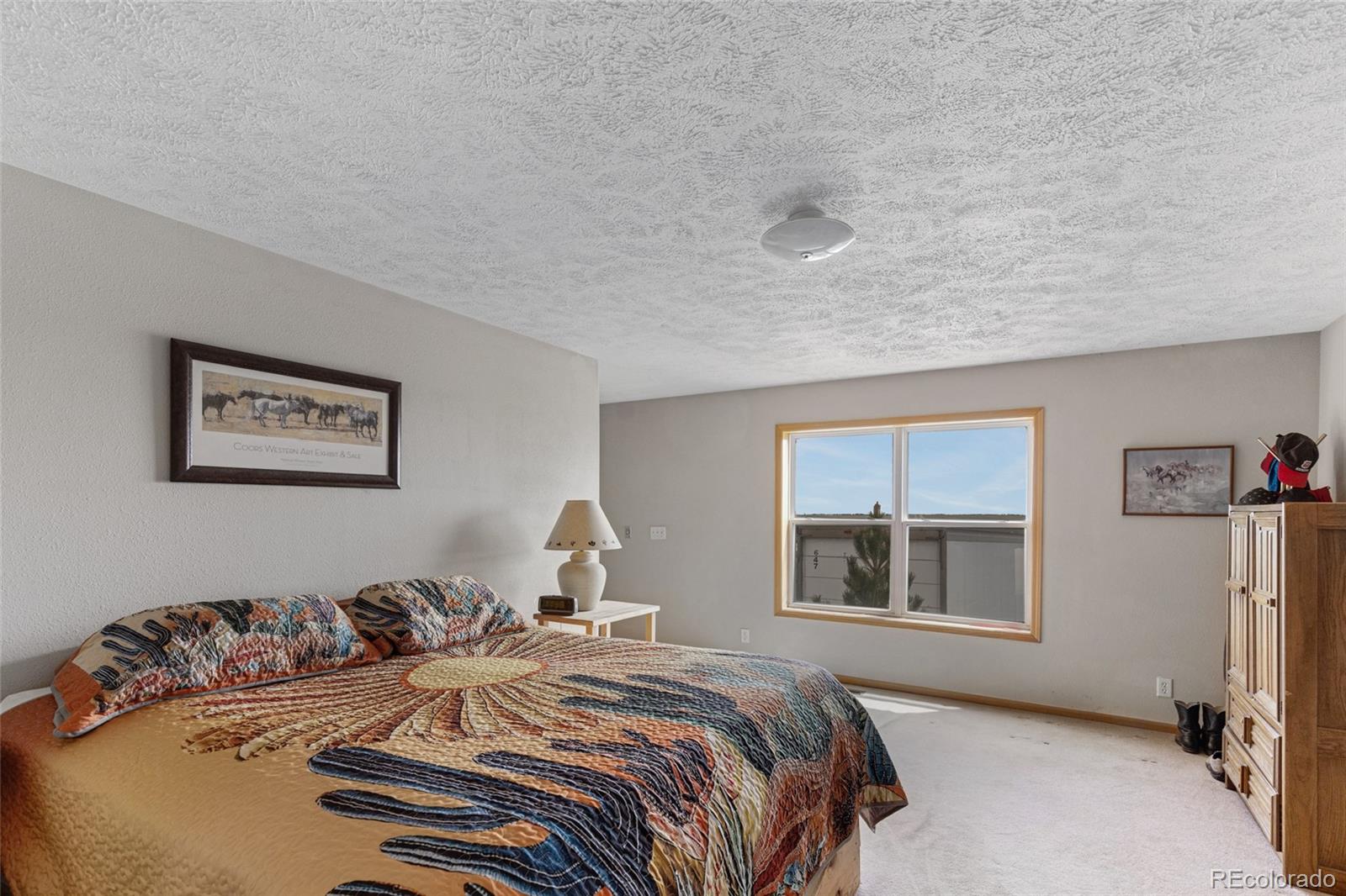 MLS Image #14 for 33294  expertise trail,kiowa, Colorado