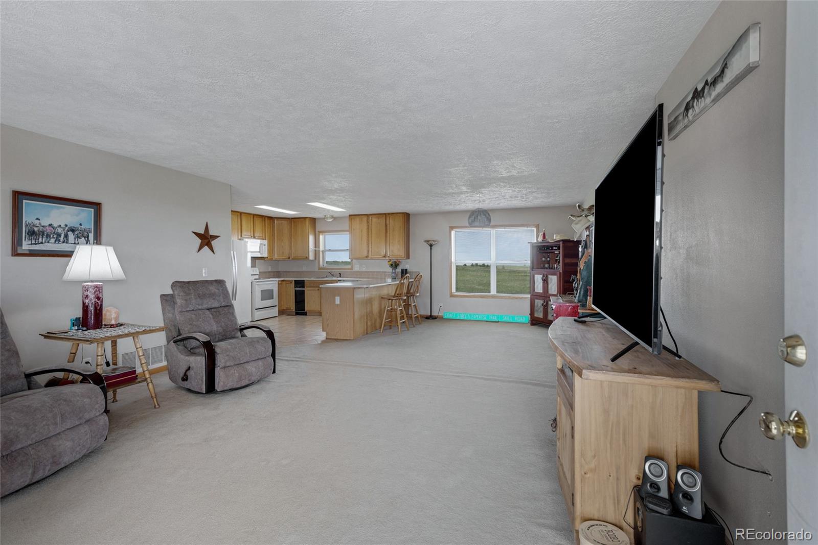 MLS Image #4 for 33294  expertise trail,kiowa, Colorado