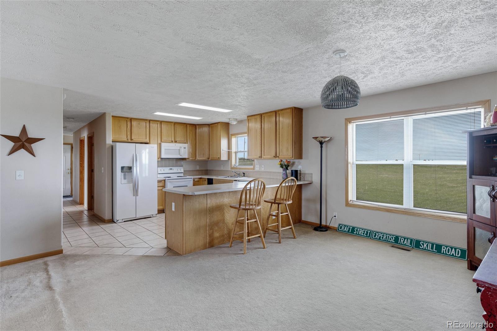 MLS Image #6 for 33294  expertise trail,kiowa, Colorado