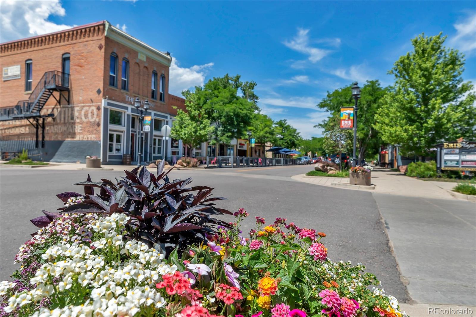 MLS Image #42 for 944  alpine ridge street,erie, Colorado