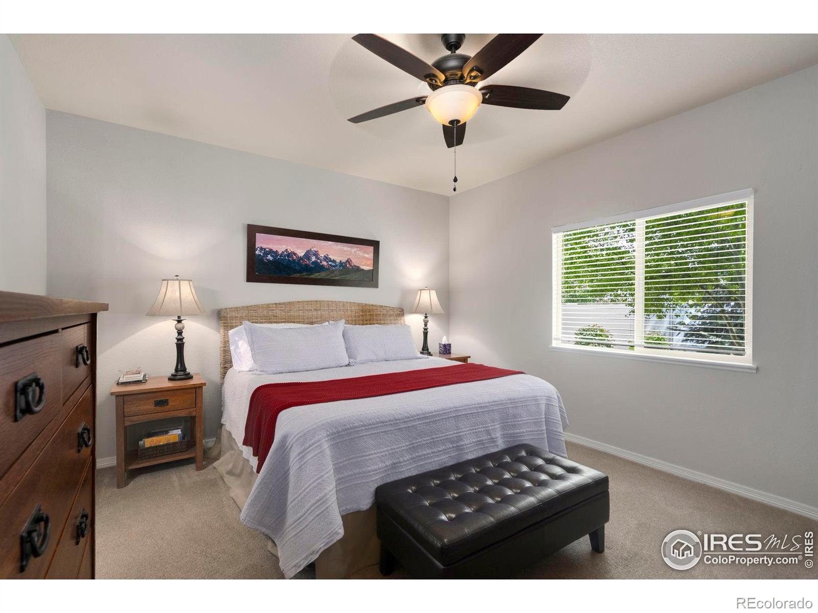 MLS Image #16 for 641  yukon court,windsor, Colorado