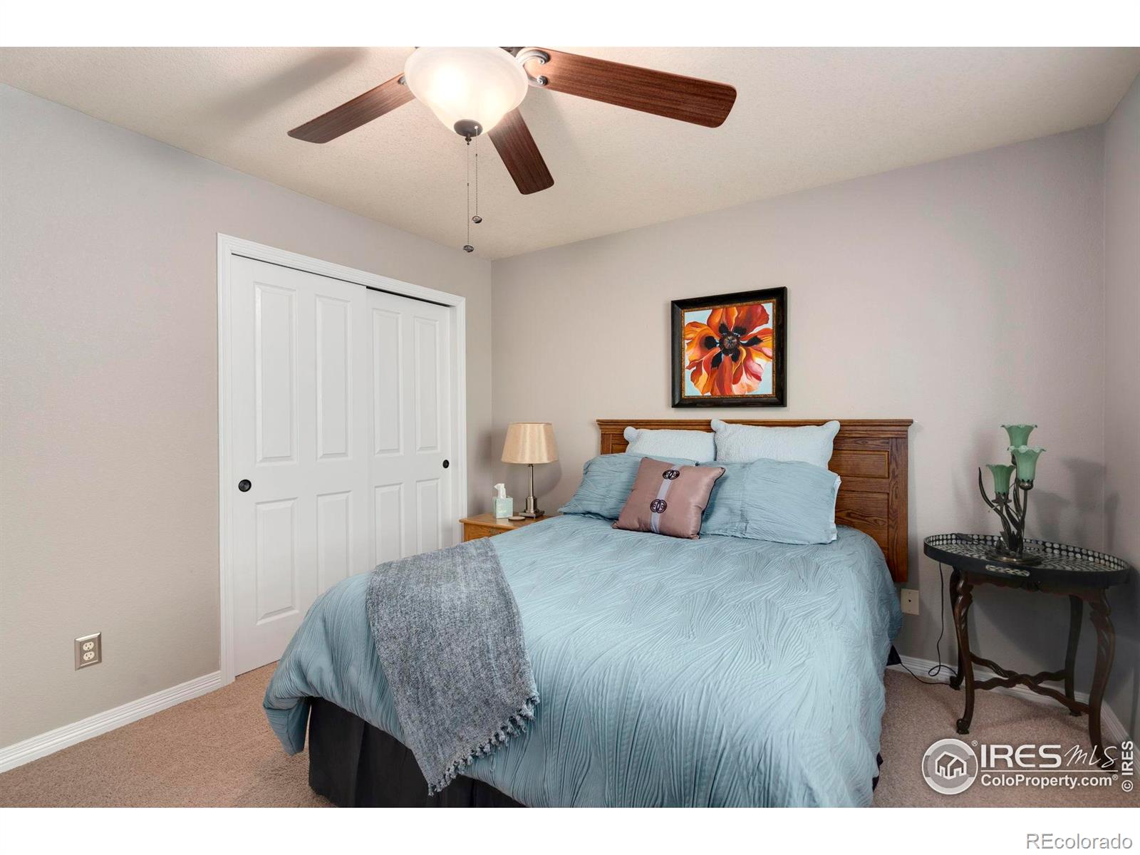 MLS Image #19 for 641  yukon court,windsor, Colorado
