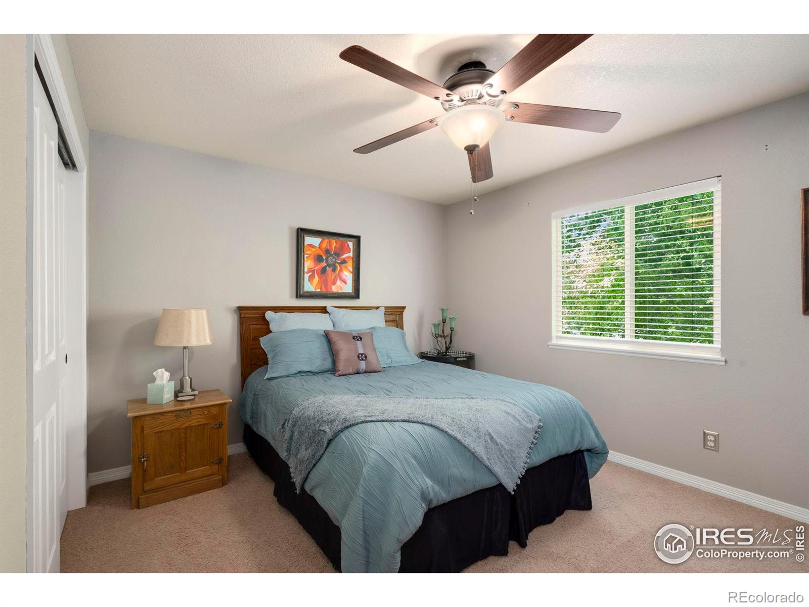 MLS Image #20 for 641  yukon court,windsor, Colorado