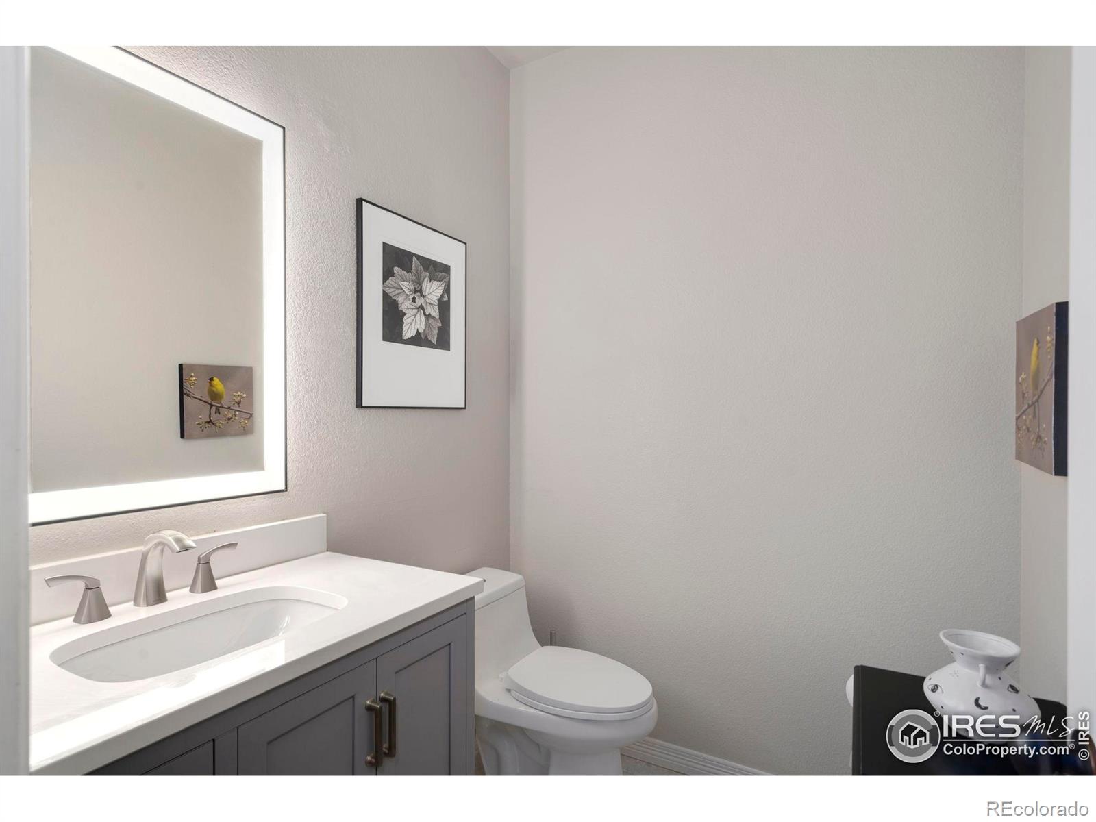 MLS Image #25 for 641  yukon court,windsor, Colorado