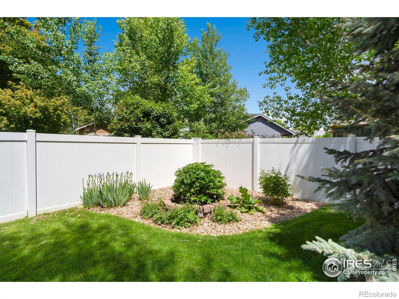 MLS Image #36 for 641  yukon court,windsor, Colorado