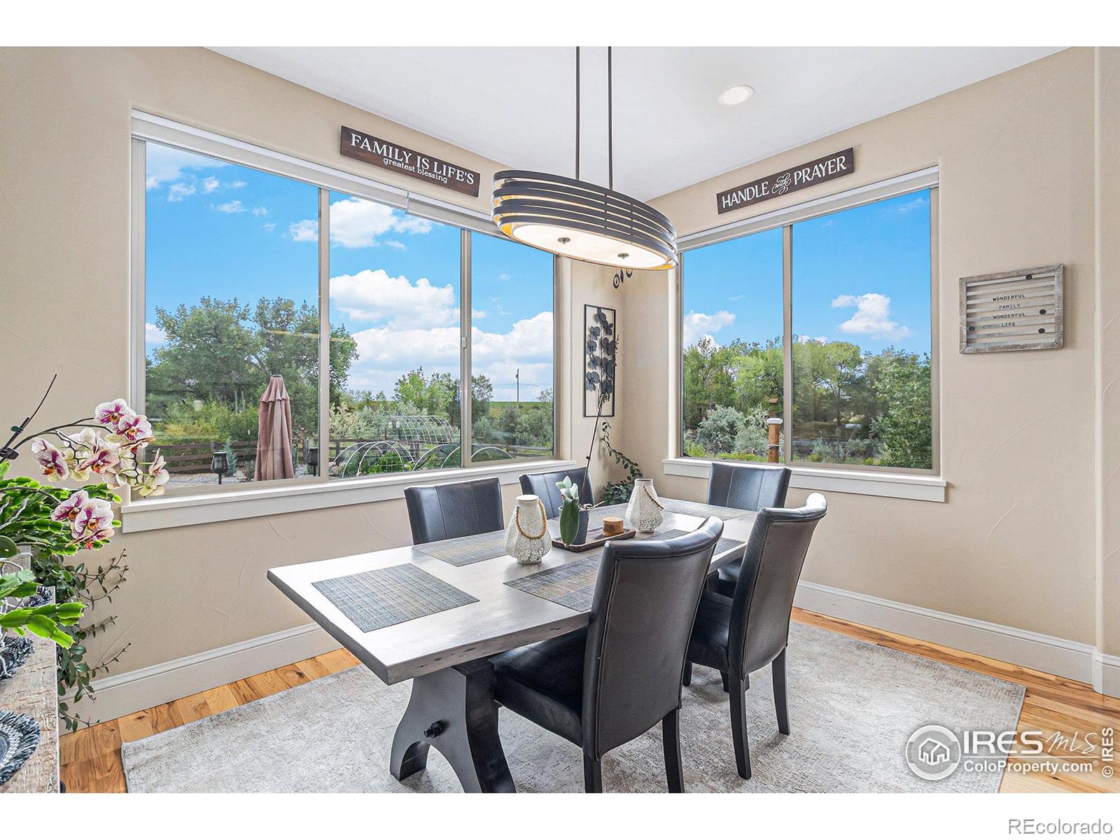 MLS Image #13 for 4243  carroway seed court,johnstown, Colorado