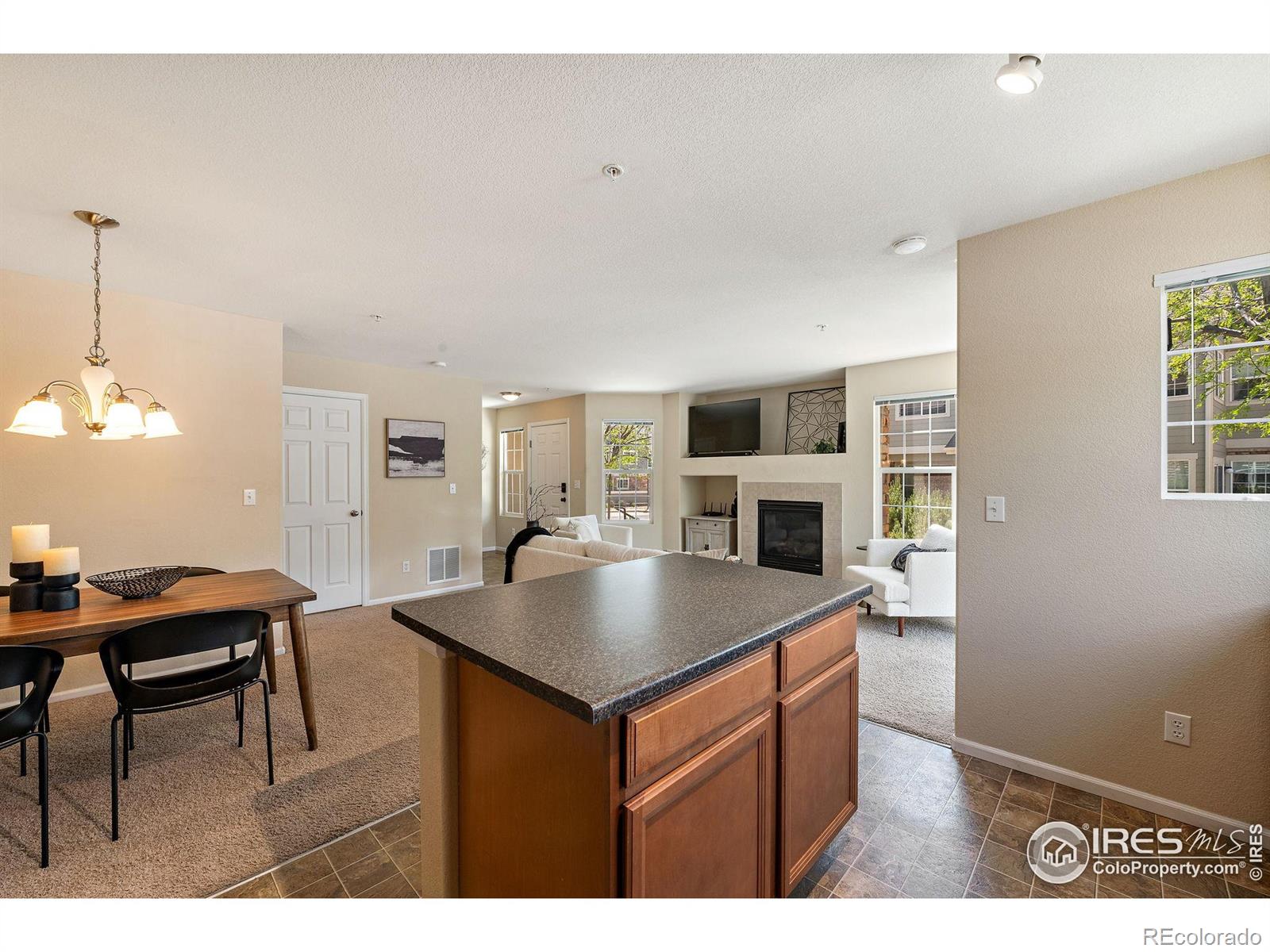 MLS Image #10 for 14300  waterside lane,broomfield, Colorado