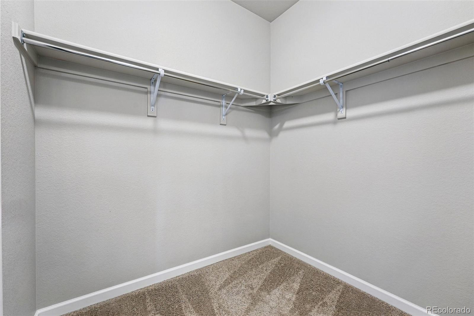 MLS Image #12 for 3548  swabuck place,castle rock, Colorado
