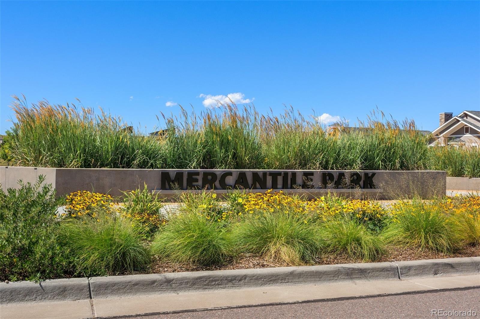 MLS Image #24 for 3548  swabuck place,castle rock, Colorado