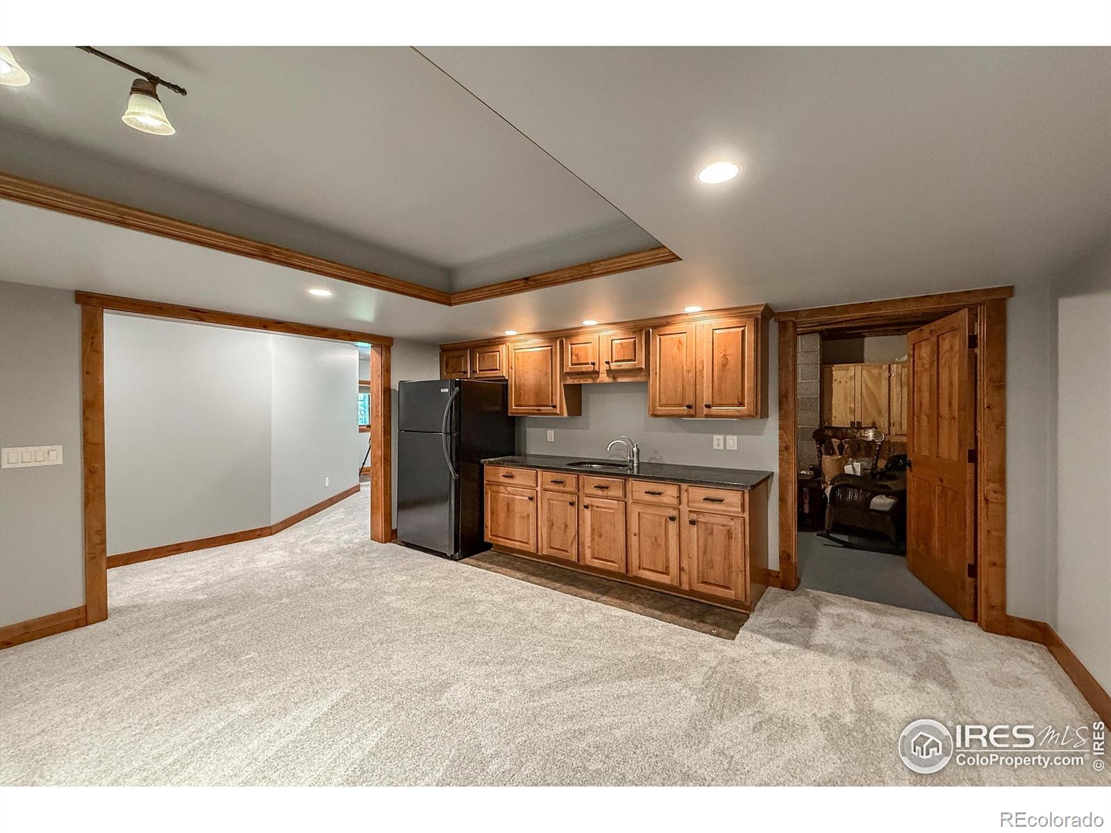 MLS Image #22 for 770  east lane,estes park, Colorado