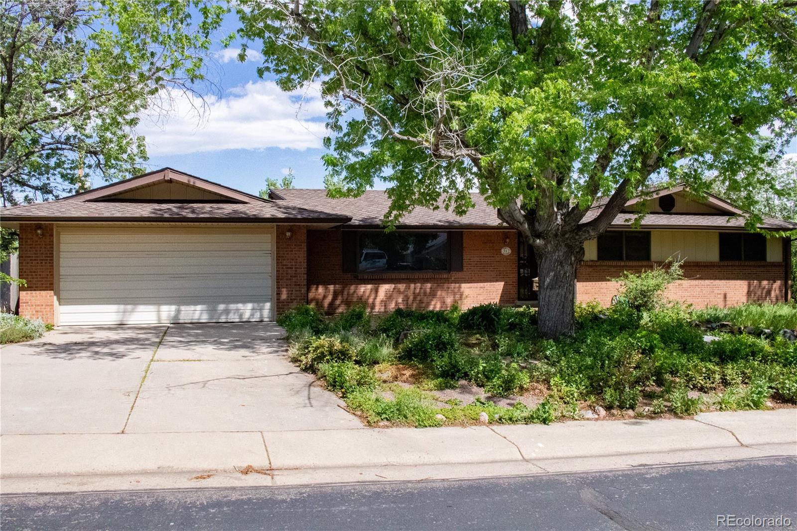 MLS Image #37 for 962 s beech street,lakewood, Colorado