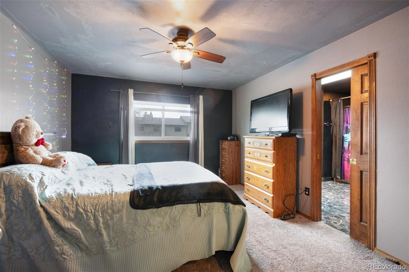 MLS Image #20 for 4763  barnes road,colorado springs, Colorado
