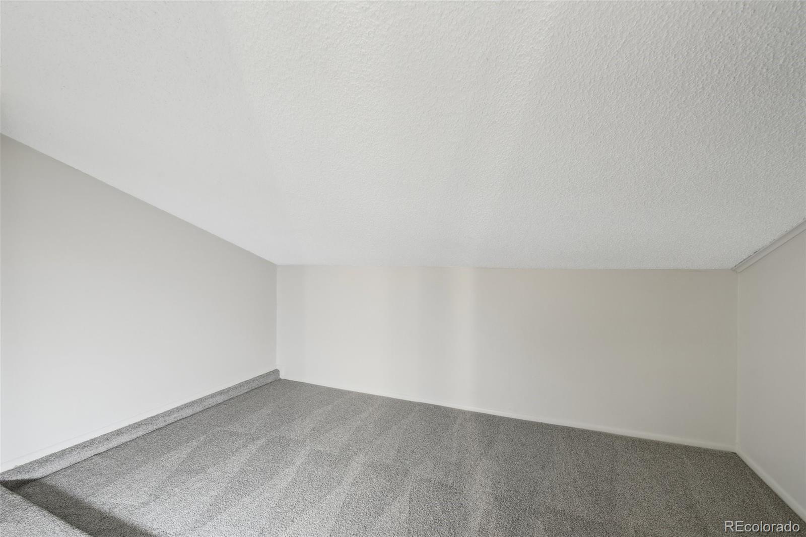 MLS Image #18 for 12115  bannock street,denver, Colorado