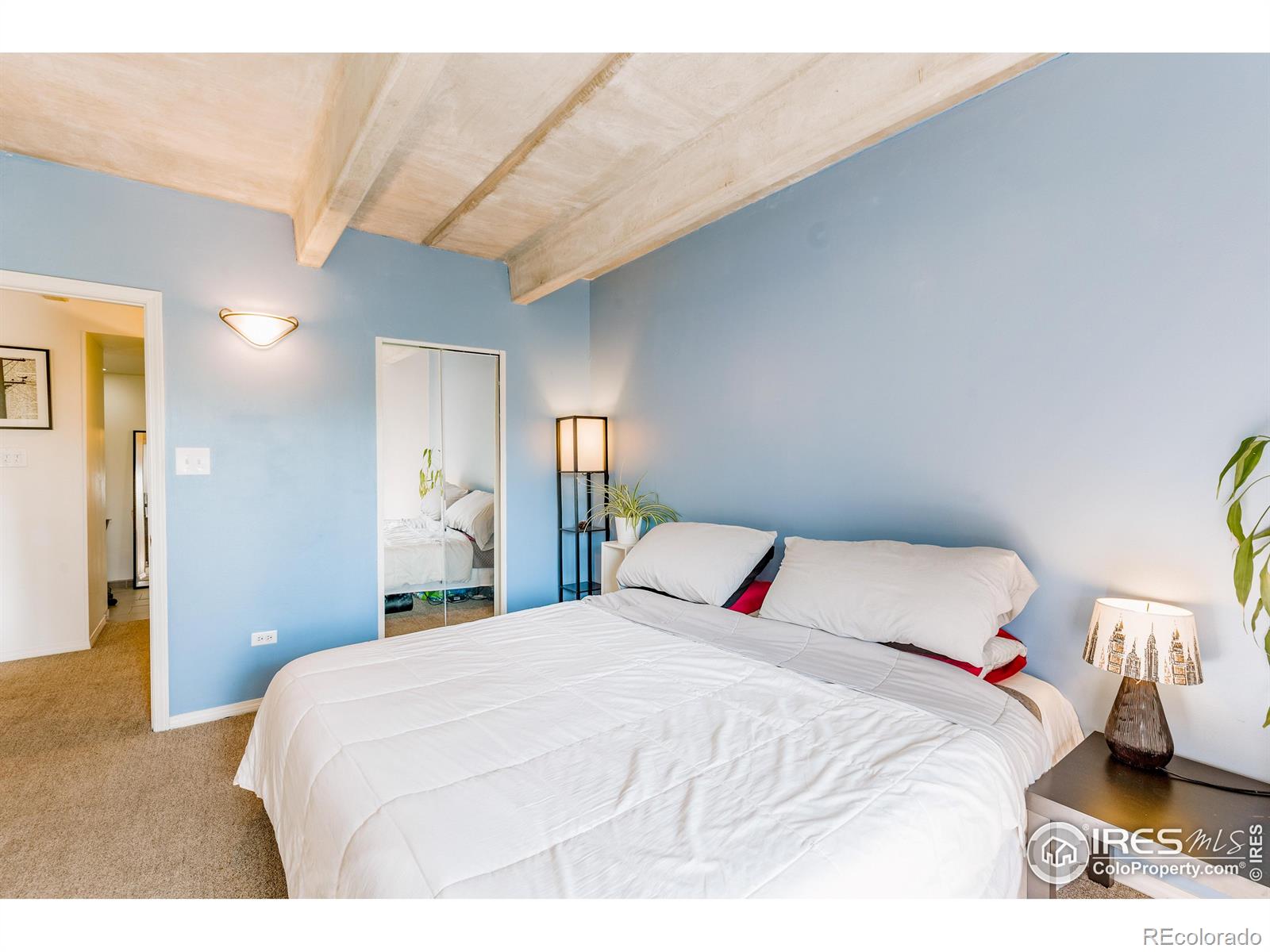 MLS Image #15 for 1441 n humboldt street,denver, Colorado