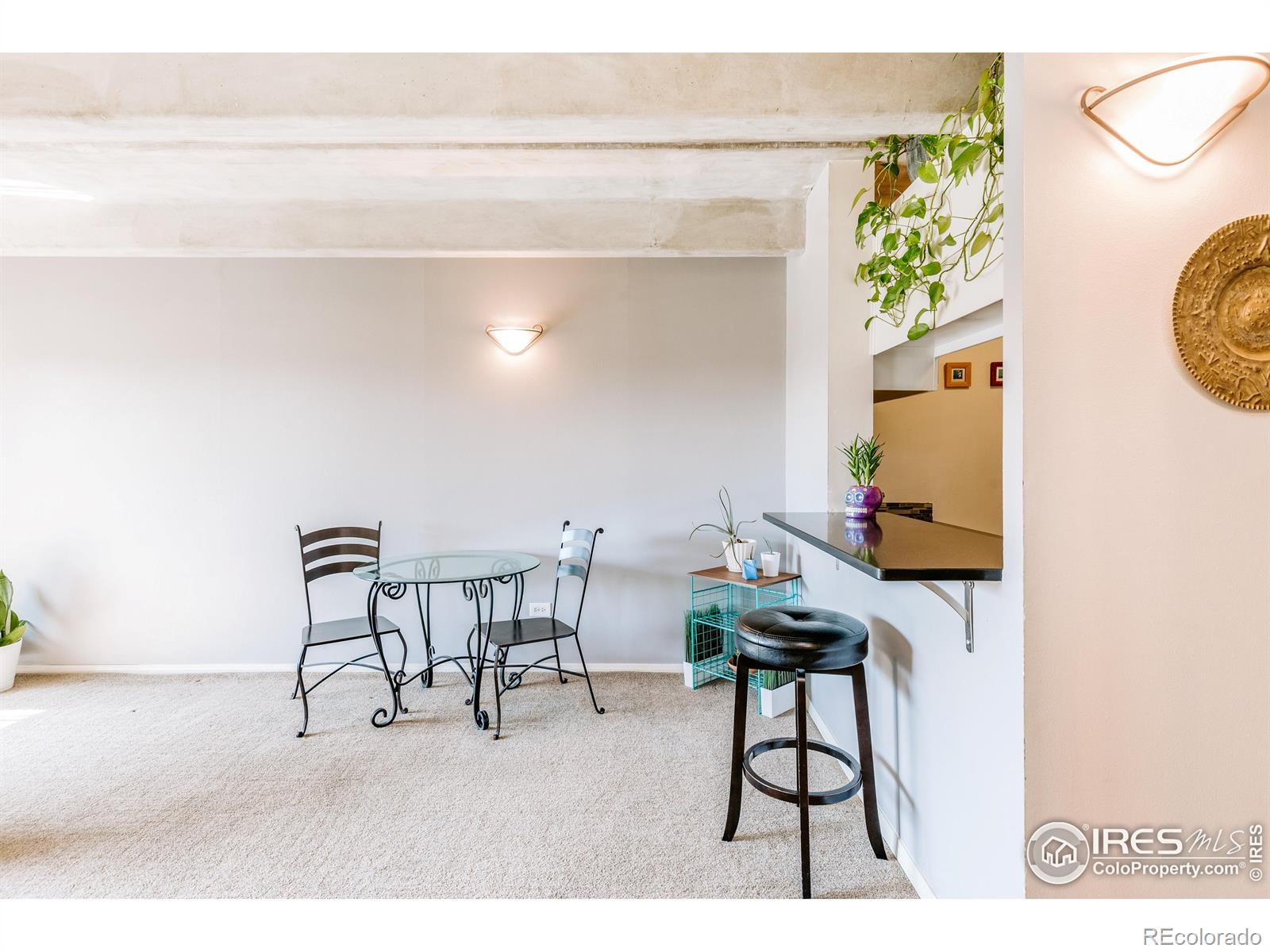 MLS Image #4 for 1441 n humboldt street,denver, Colorado