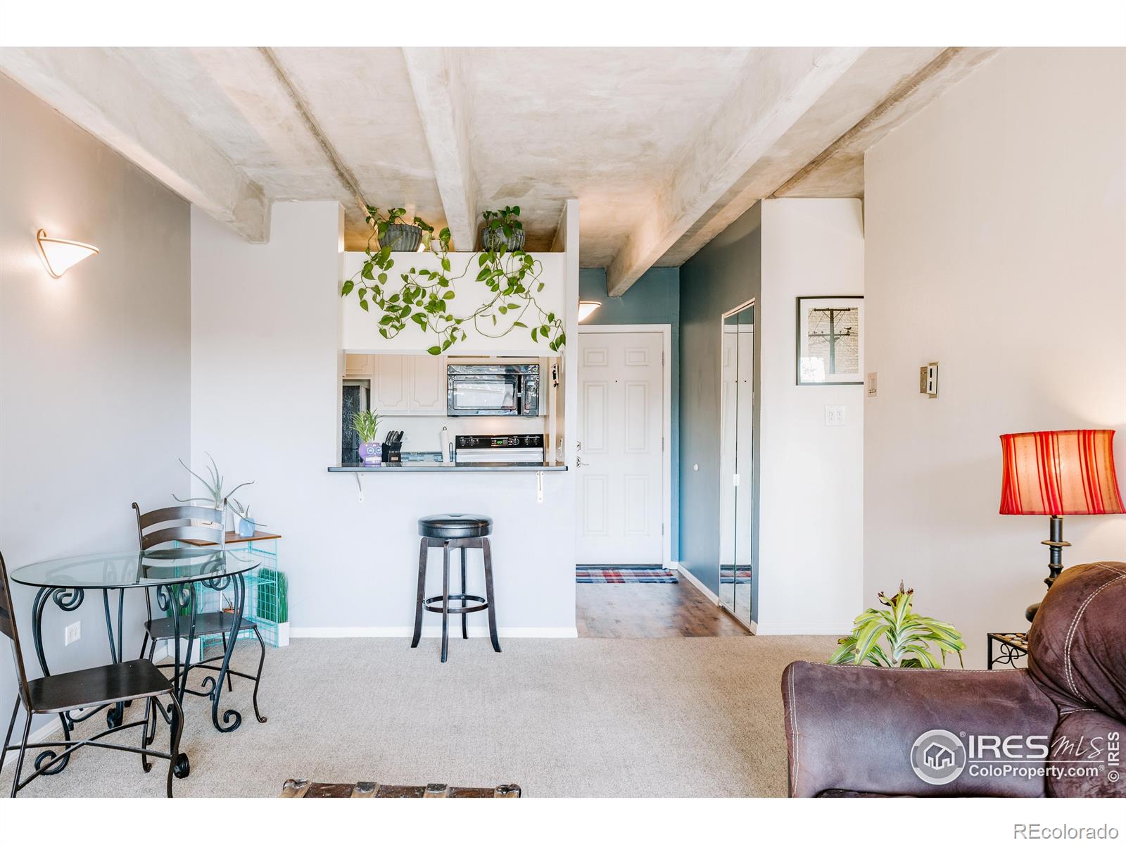 MLS Image #6 for 1441 n humboldt street,denver, Colorado
