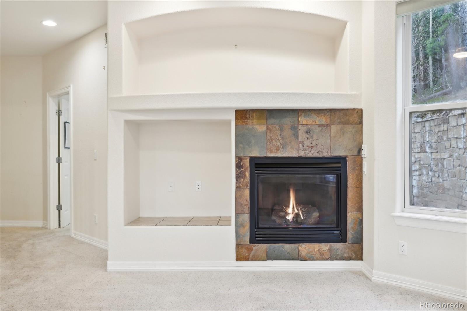 MLS Image #9 for 692  louis drive,central city, Colorado