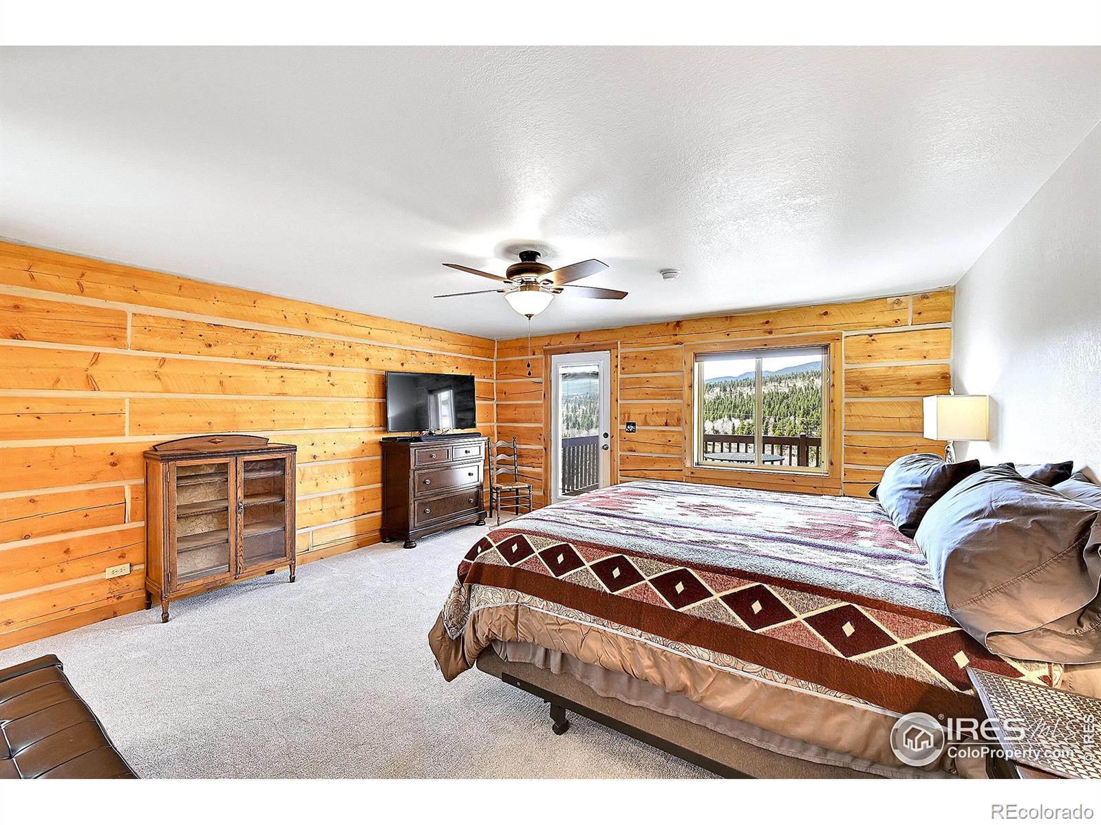MLS Image #18 for 278  clark road,bailey, Colorado