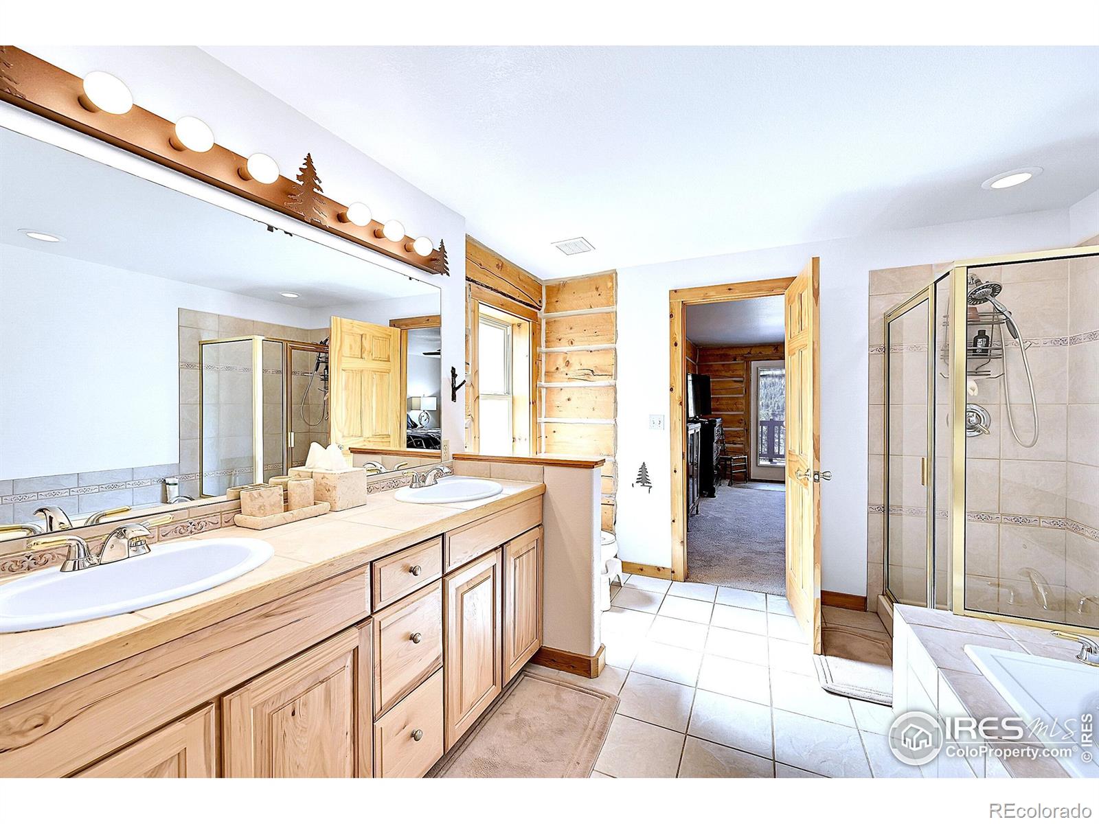 MLS Image #20 for 278  clark road,bailey, Colorado
