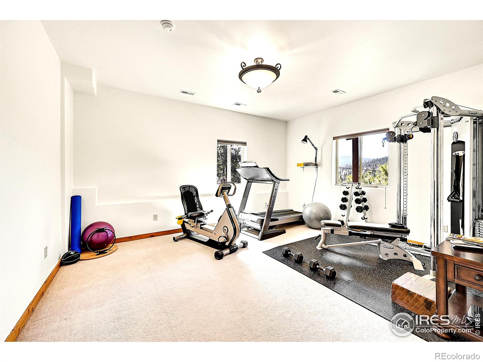 MLS Image #28 for 278  clark road,bailey, Colorado