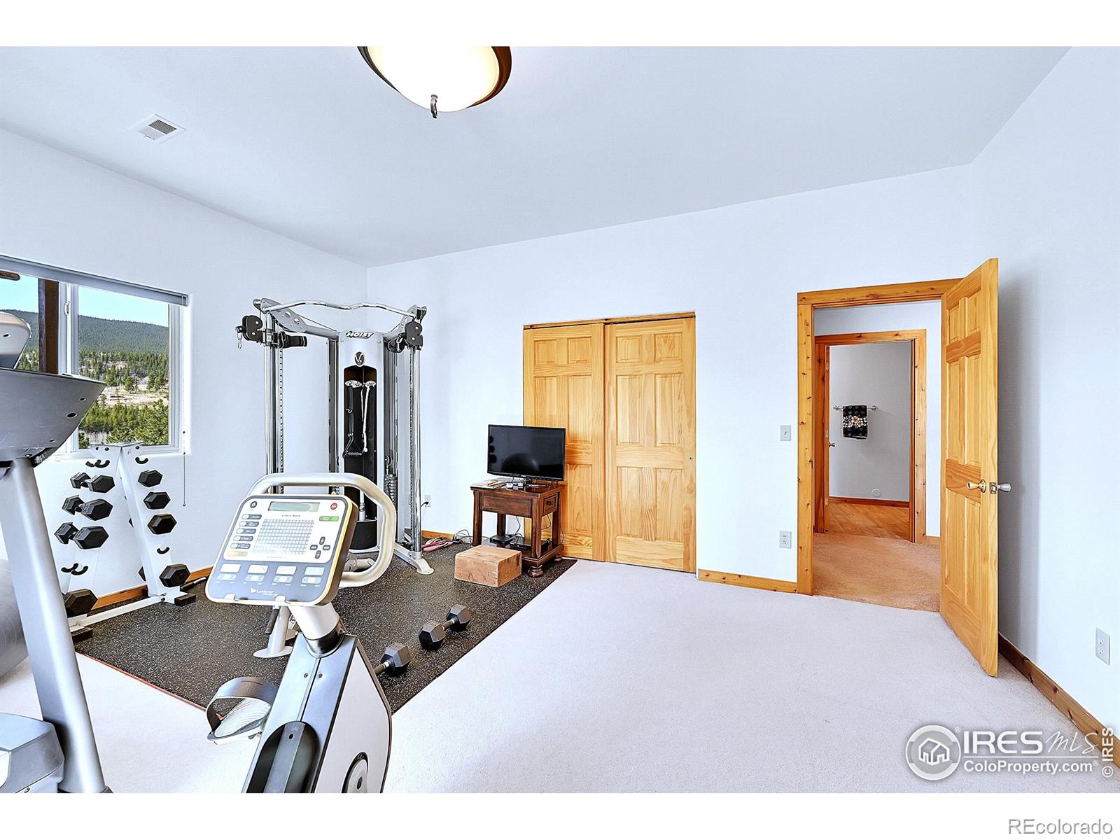 MLS Image #29 for 278  clark road,bailey, Colorado