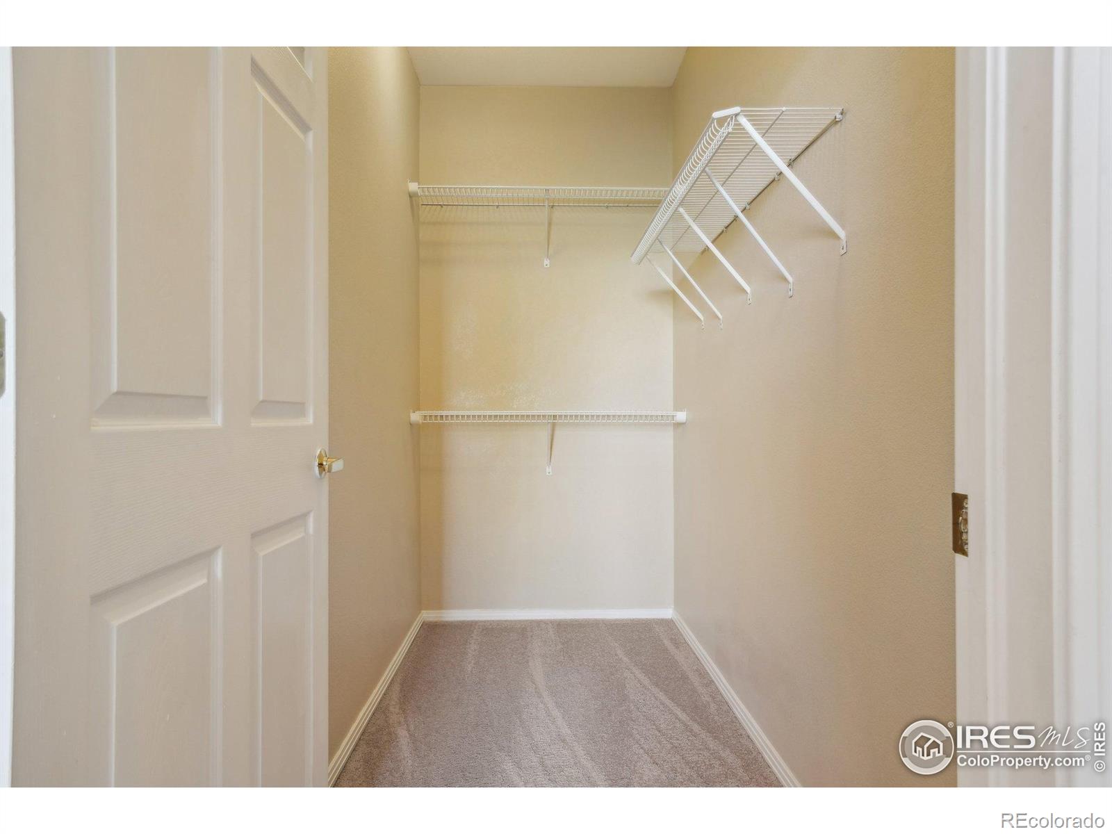 MLS Image #11 for 3002 w elizabeth street,fort collins, Colorado