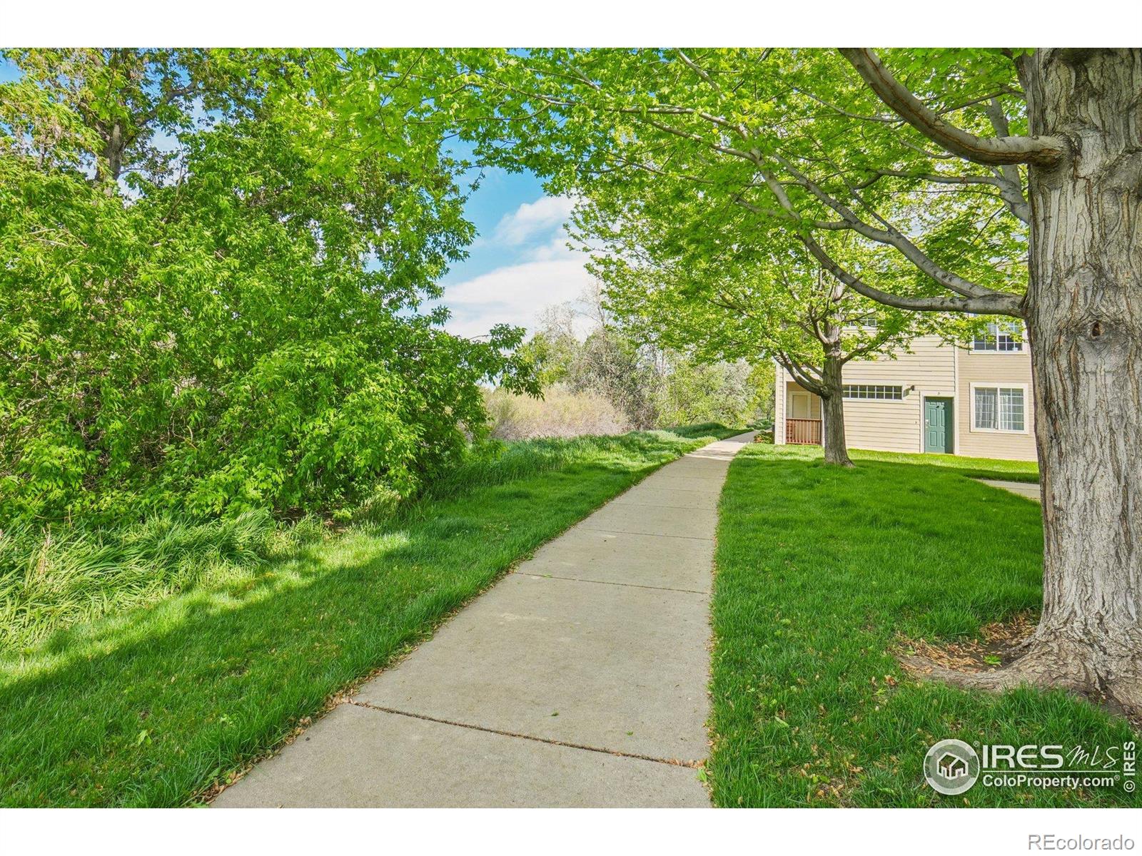 MLS Image #26 for 3002 w elizabeth street,fort collins, Colorado