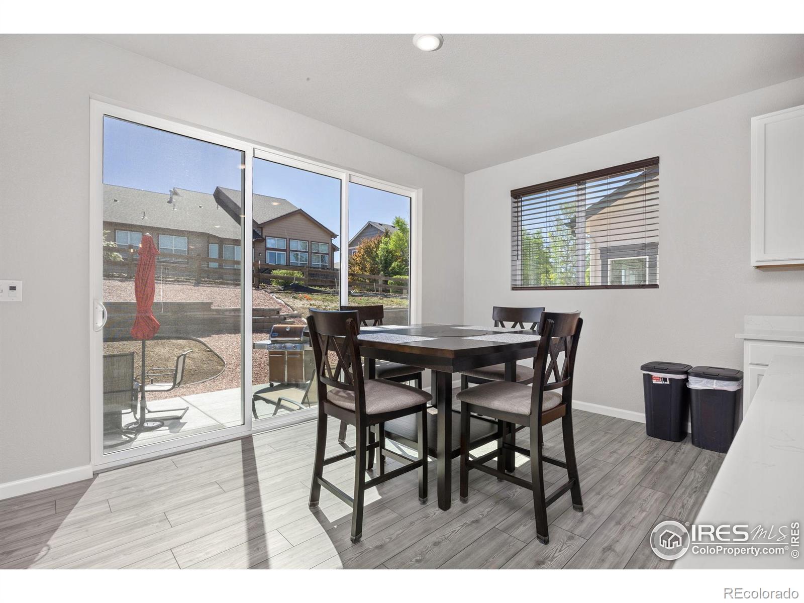 MLS Image #10 for 16860  mckay drive,mead, Colorado
