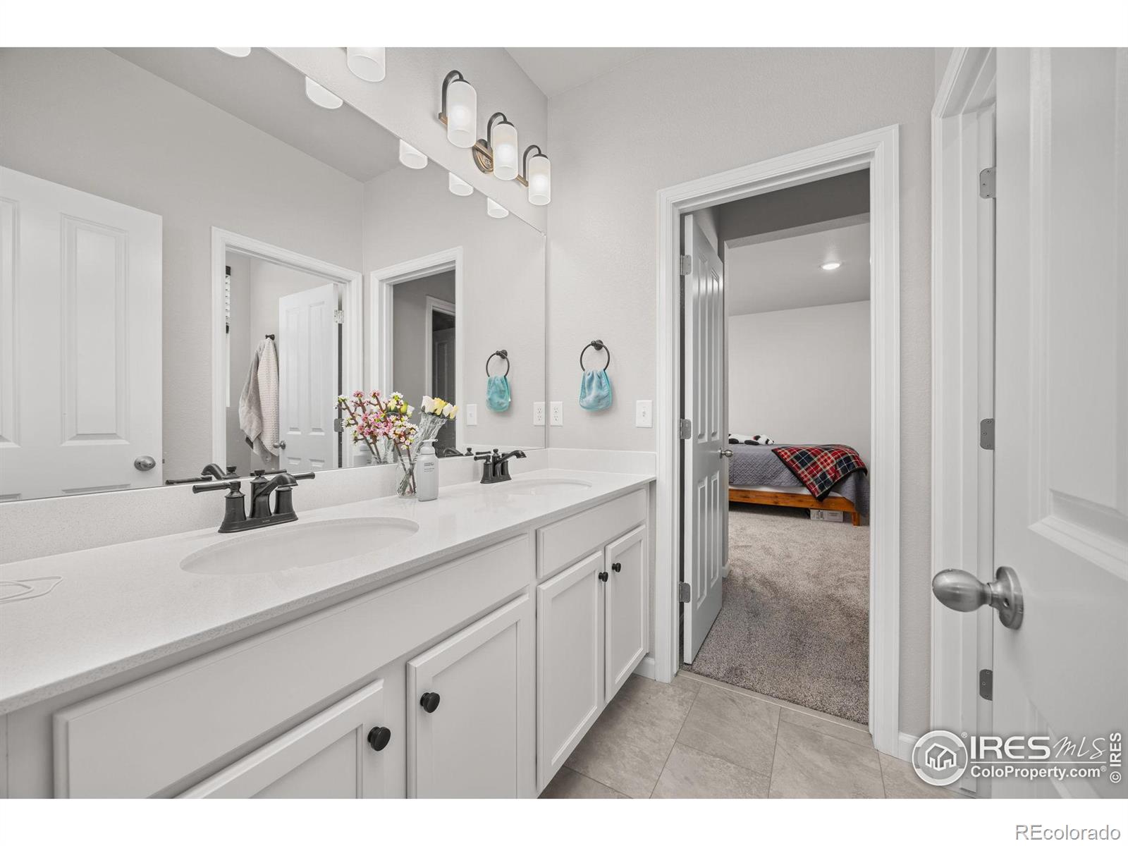 MLS Image #24 for 16860  mckay drive,mead, Colorado
