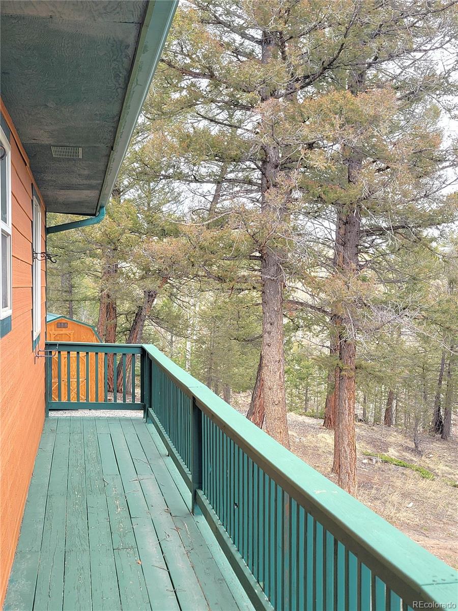 MLS Image #13 for 1799  pitchfork road,hartsel, Colorado