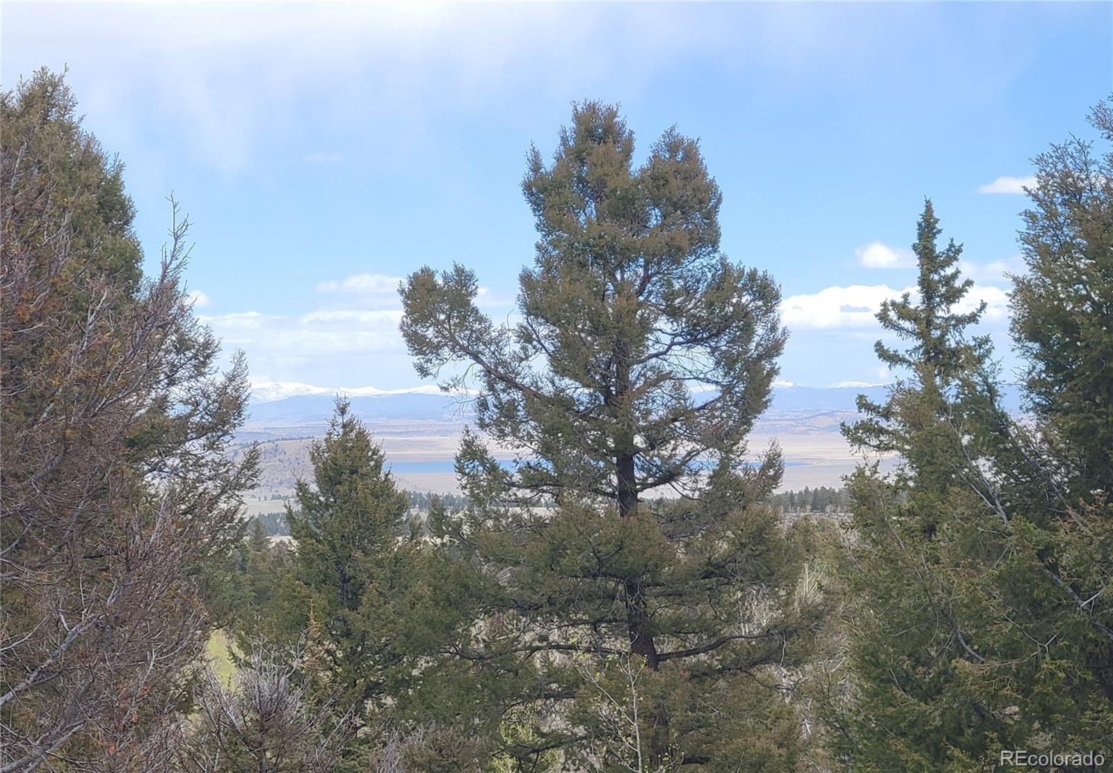 MLS Image #15 for 1799  pitchfork road,hartsel, Colorado
