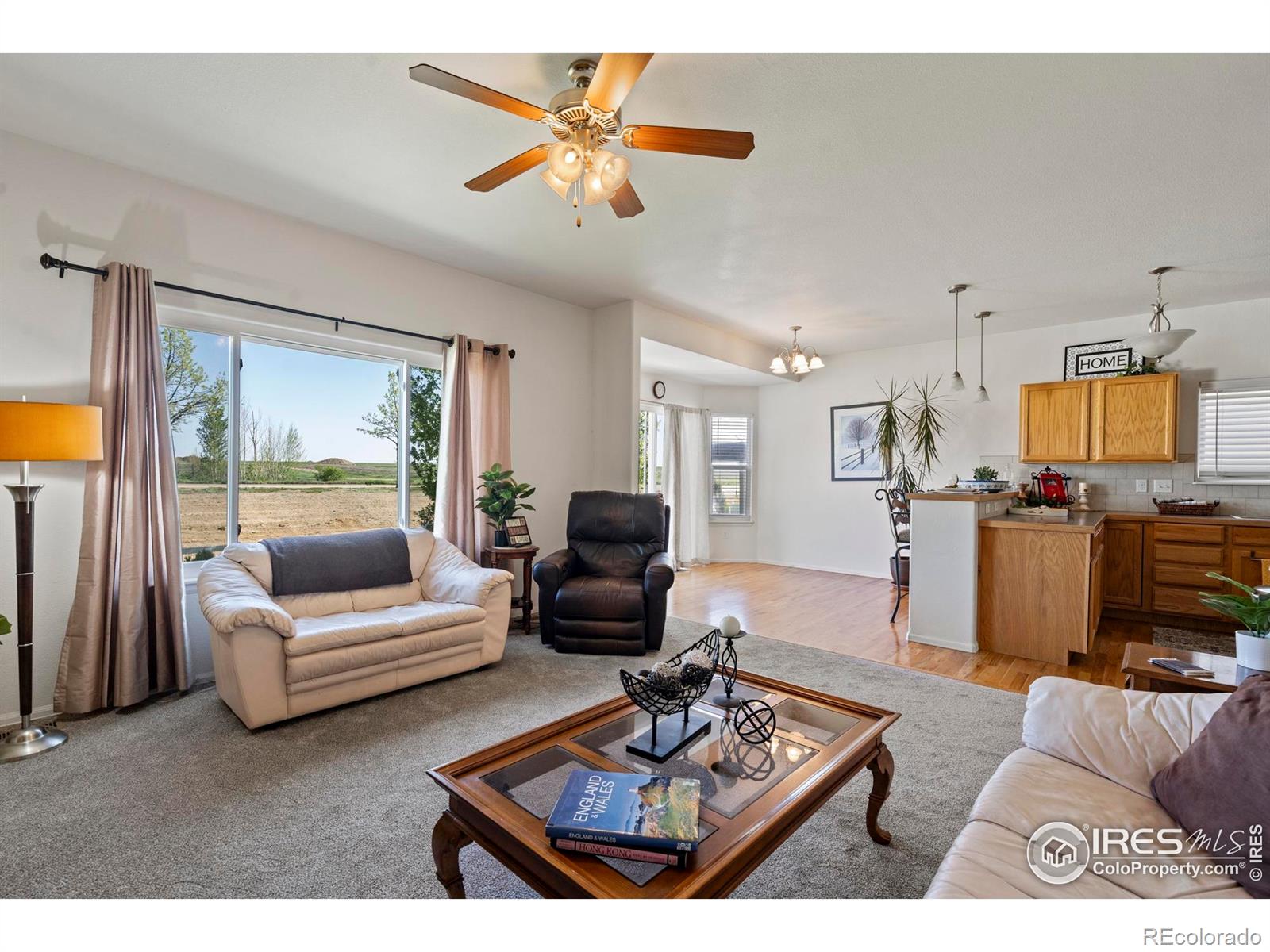 MLS Image #11 for 2438  ballard lane,fort collins, Colorado