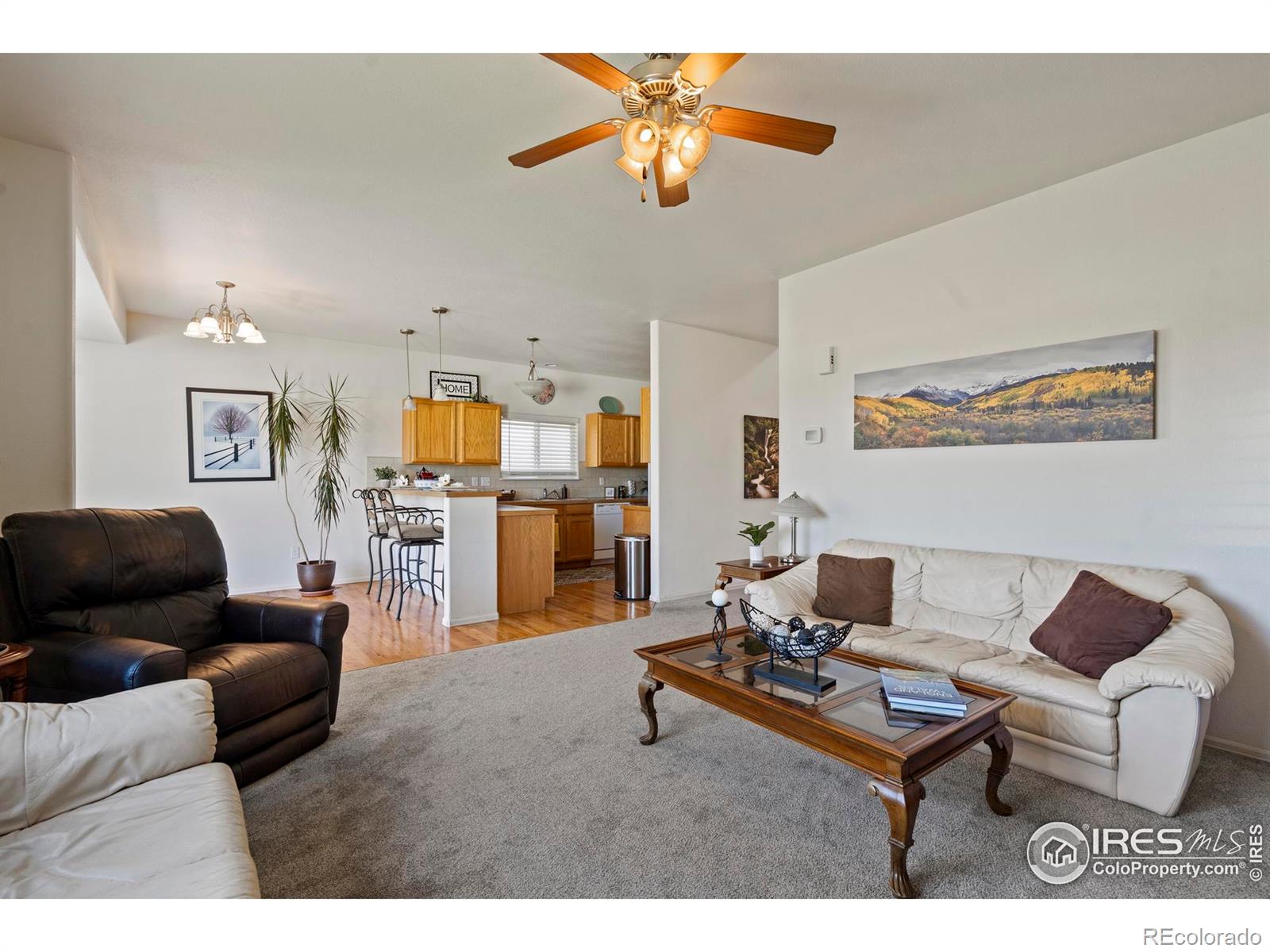 MLS Image #12 for 2438  ballard lane,fort collins, Colorado