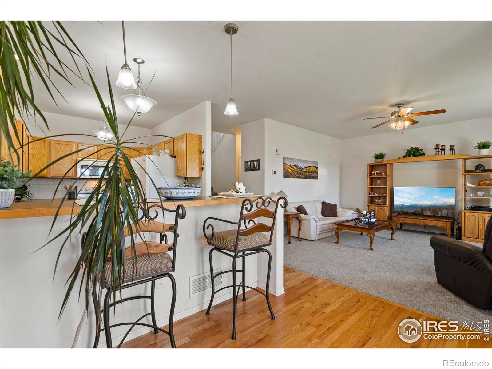 MLS Image #14 for 2438  ballard lane,fort collins, Colorado