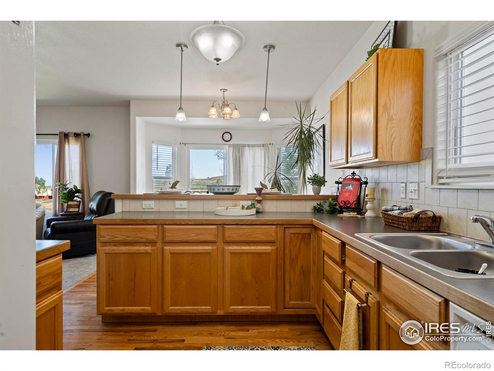 MLS Image #15 for 2438  ballard lane,fort collins, Colorado