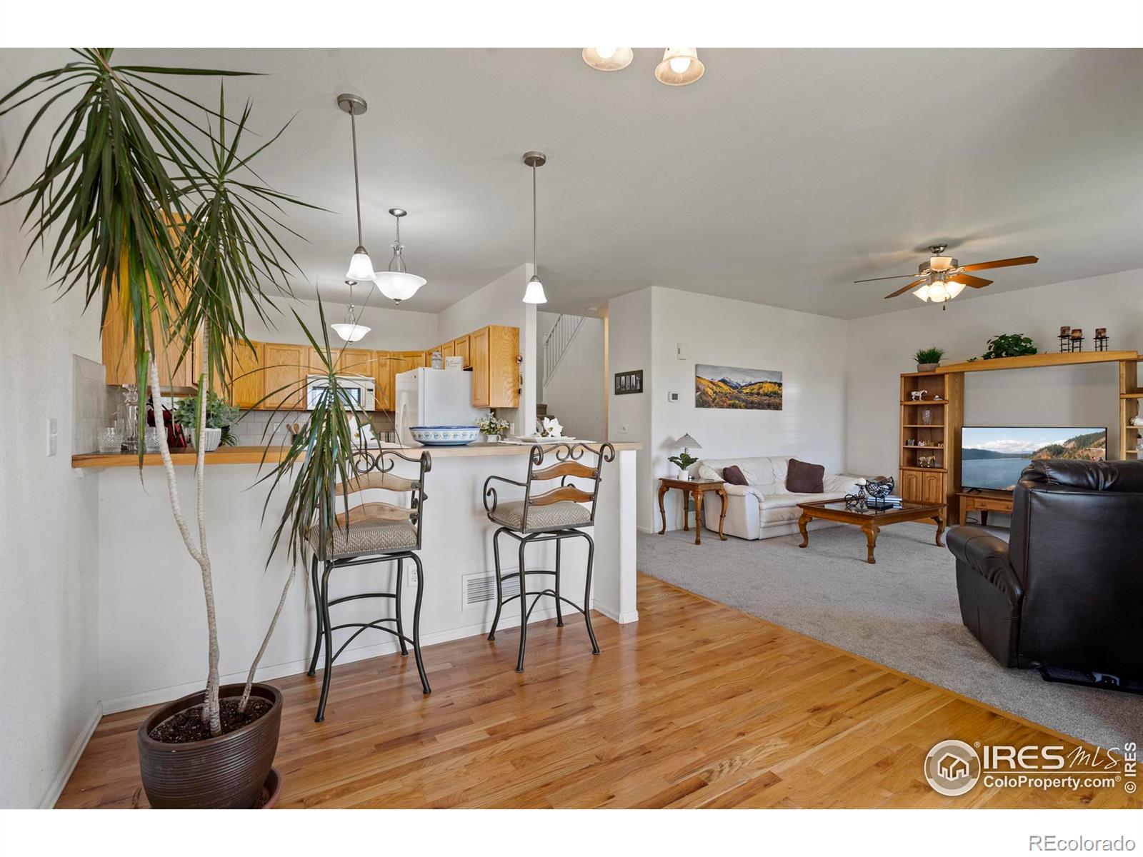 MLS Image #18 for 2438  ballard lane,fort collins, Colorado