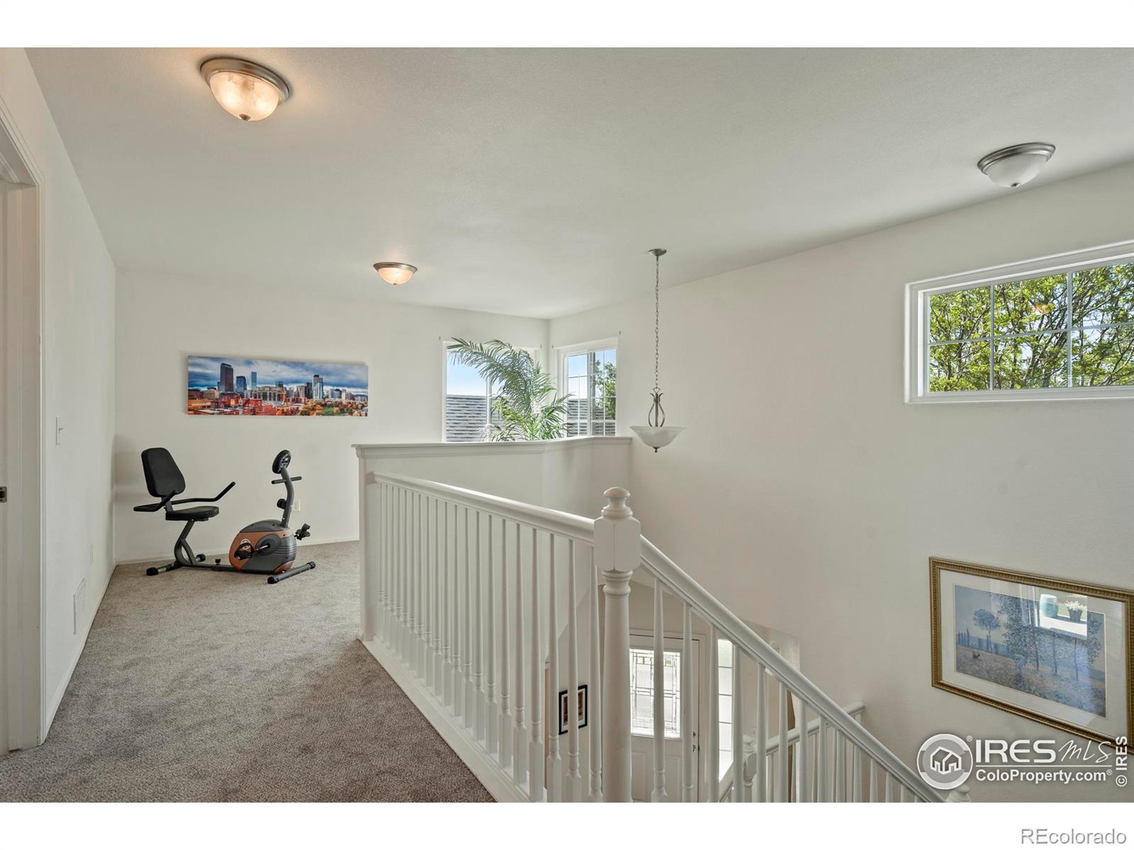MLS Image #22 for 2438  ballard lane,fort collins, Colorado