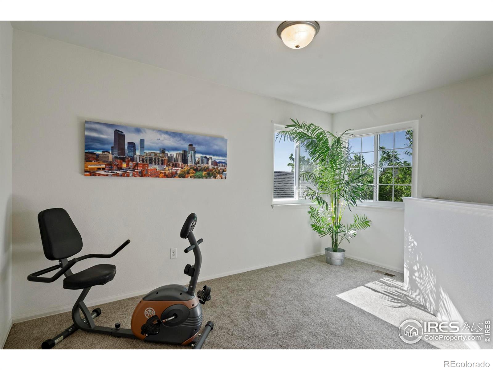 MLS Image #23 for 2438  ballard lane,fort collins, Colorado