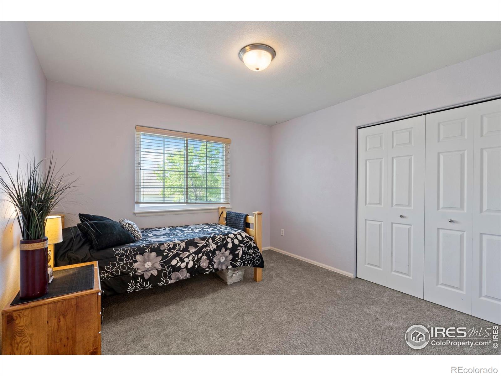 MLS Image #30 for 2438  ballard lane,fort collins, Colorado