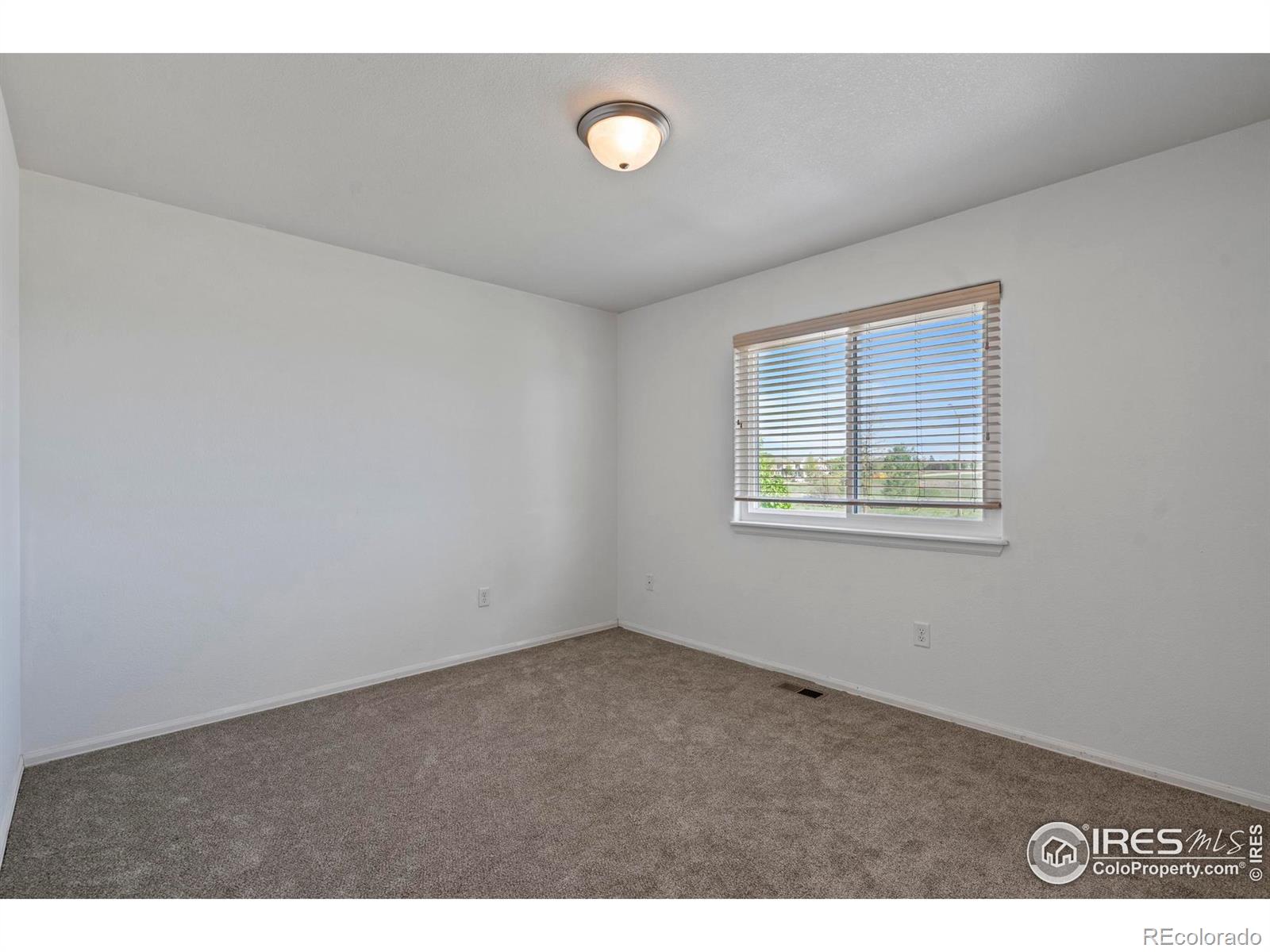 MLS Image #33 for 2438  ballard lane,fort collins, Colorado