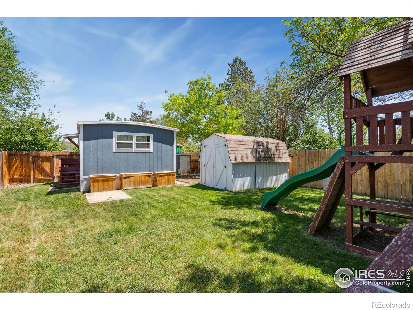 MLS Image #12 for 2812  mango place,loveland, Colorado