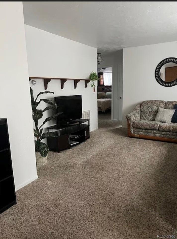 MLS Image #6 for 3905  nelson street,wheat ridge, Colorado