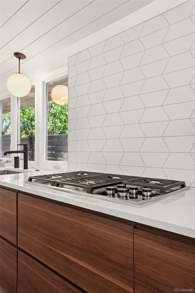 MLS Image #18 for 2545 s lowell boulevard,denver, Colorado