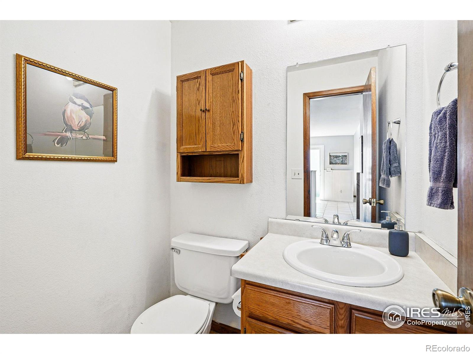 MLS Image #13 for 1817  juniper street,longmont, Colorado