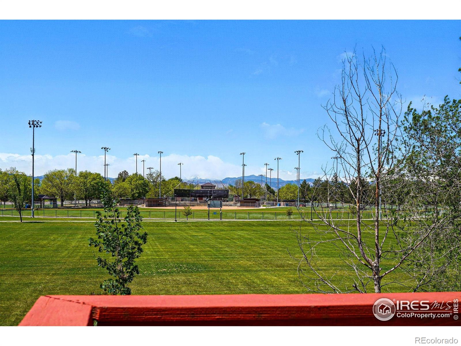 MLS Image #22 for 1817  juniper street,longmont, Colorado