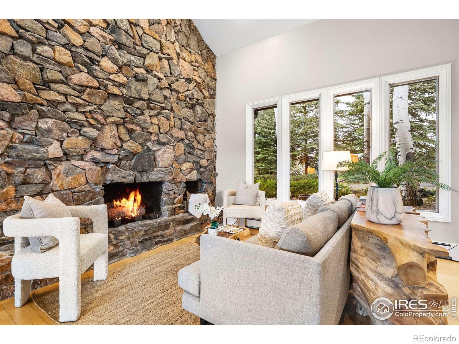 MLS Image #22 for 32399  woodland drive,evergreen, Colorado